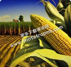 致力于为全球球迷提供最专业的体育资讯服务 - 杏彩体育